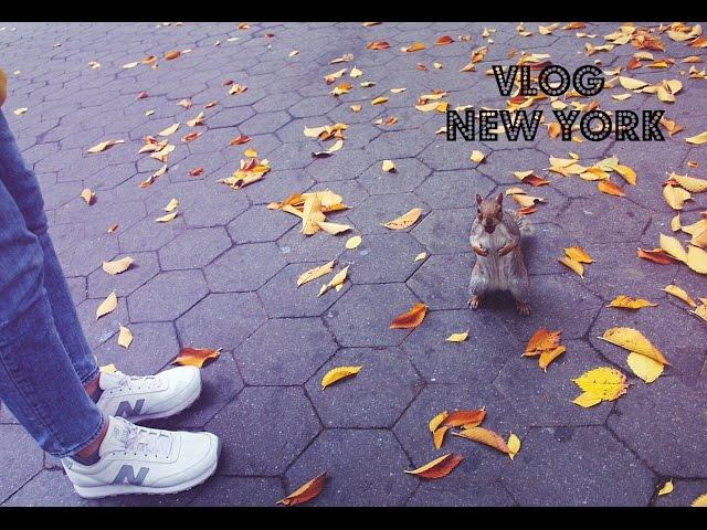 New York Vlog #3    Central park, Empire, Night city, Manhattan by night