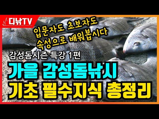 속성! 가을 감성돔낚시 기초 필수지식 총정리! 감성돔시즌 특강 1편 [디낚TV 낚시공부방]