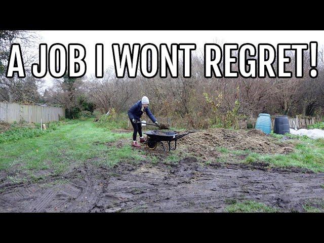 USING MANURE ON MY ALLOTMENT GARDEN! / ALLOTMENT GARDENING UK