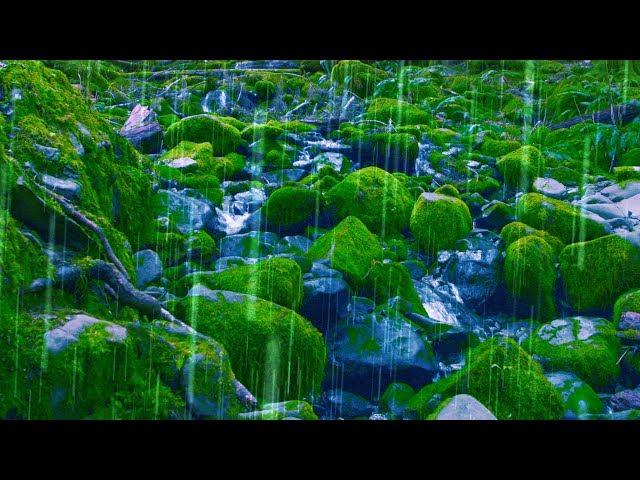 Rain Sounds + Stream for Sleep, Focus, Studying | 4K Nature Video White Noise 10 Hours