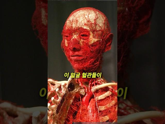 운동하면 얼굴이 이렇게 됩니다 ㅠ