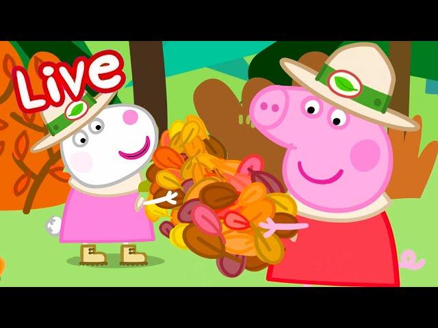 Peppa Pig Full Episodes - LIVE  BRAND NEW PEPPA PIG EPISODES ⭐️