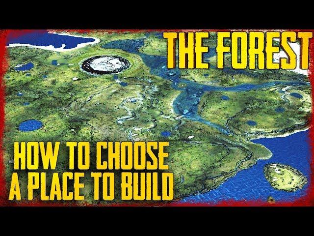 10 TIPS ON CHOOSING A PLACE TO BUILD IN THE FOREST!