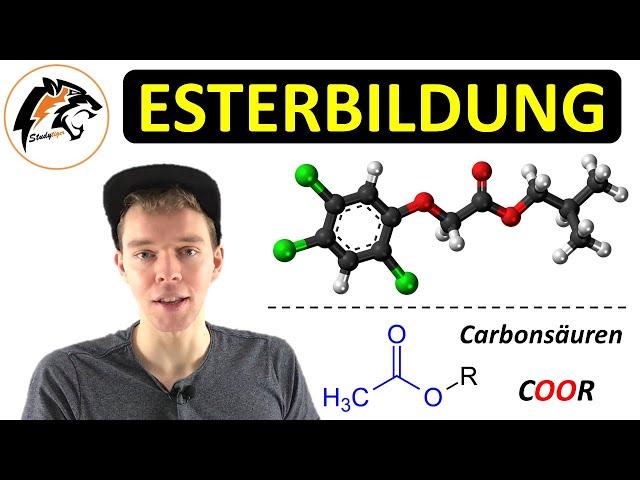 ESTERBILDUNG – (Reaktionsmechanismus + Saure Esterhydrolyse) | Chemie Tutorial