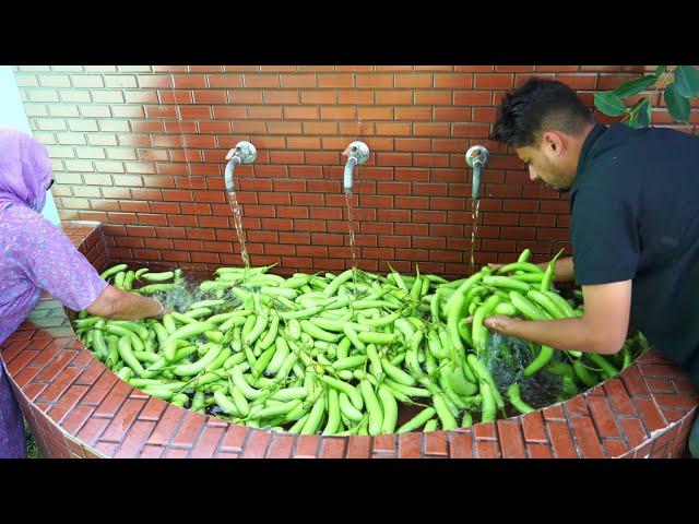 Green Eggplant Cooking - Indian spicy Eggplant