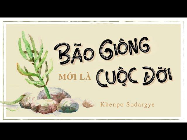 [Sách nói] Bão Giông Mới Là Cuộc Đời - Chương 1 | Khenpo Sodargye