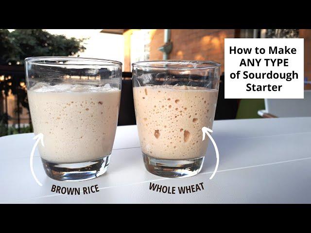 Make ANY TYPE of sourdough starter with one easy process (brown rice & whole wheat demonstration).