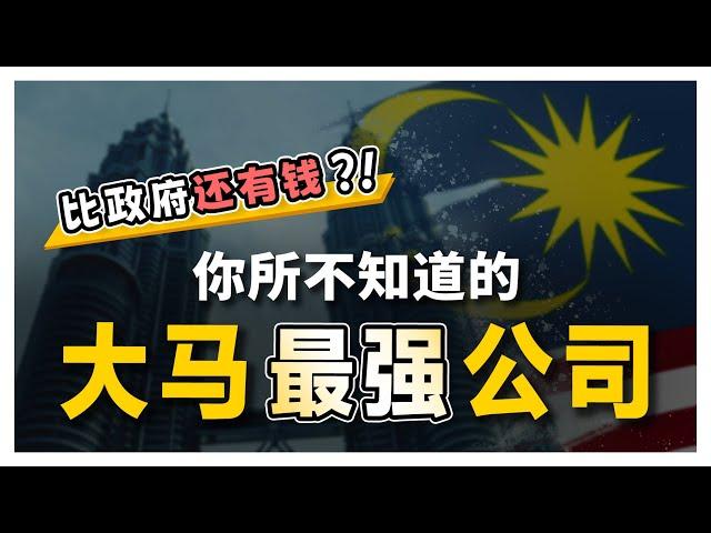 马来西亚最富的公司不是 Maybank! 而是 XXX! 一个富可敌国的公司！| 【乐学成长空间】