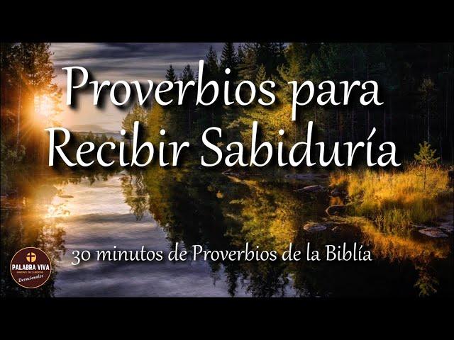 Proverbios para recibir sabiduría de parte de Dios | Biblia hablada | Bible audio