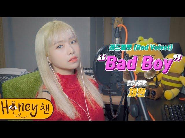 레드벨벳 (Red Velvet) - Bad boyㅣCOVER by 채원ㅣCOVERㅣHoney챈