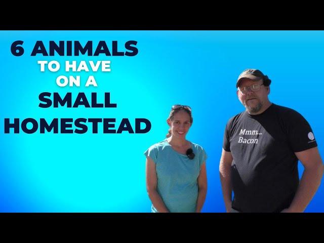 6 Animals to have on a Small Homestead