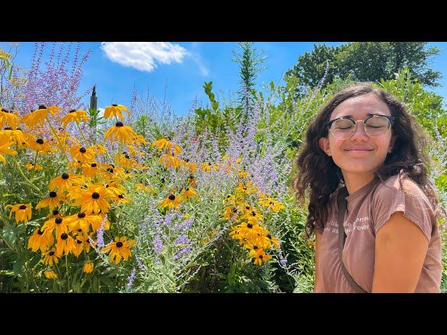 Plant Lady Tour of New York City | Best Garden Spots to Get Your Nature Fix