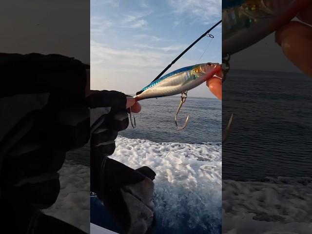 Nomad Design Madcast #pescanomar #fishing #pescaria #casting #angler #jig #tuna #mahimahi