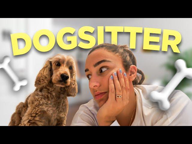 JE SUIS DOG-SITTER PENDANT 24H (intense)