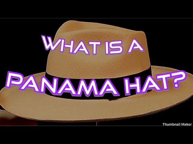 What Is A Panama Hat?  & what is a Monticristi Fino?