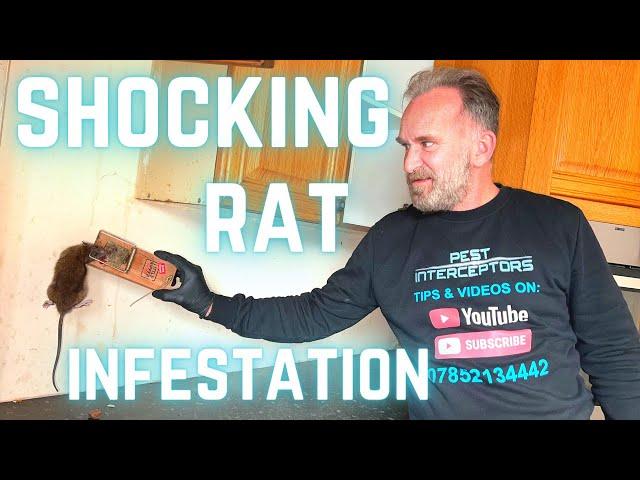 EXTREME RAT DIVISION faces its BIGGEST CHALLENGE YET!!!