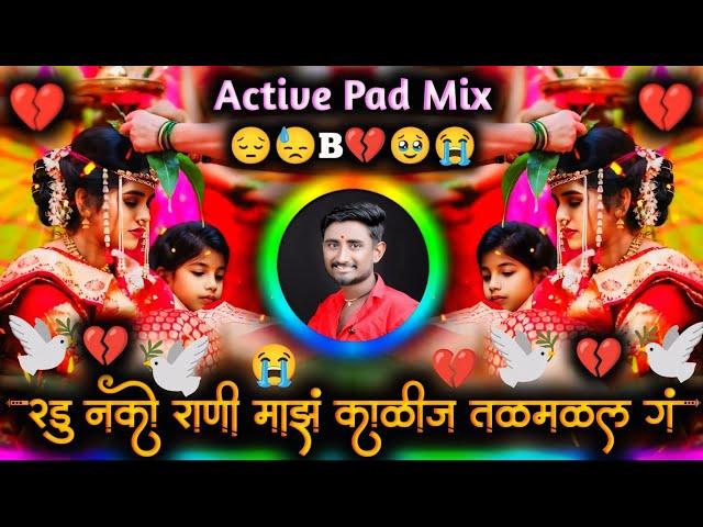 Radu Nako Rani Maz Kalij Talamalal G | Januchya Lagnachi Khabar Aikuni | Active Pad Mix Dj Balaji J