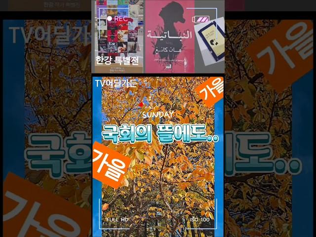 #국회의 뜰 #한강특별전 #임영웅 #tv어딜가든