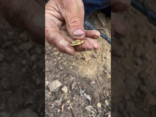 BIG GOLD NUGGET FOUND 7.5g!! | Gold Detecting Victoria | Minelab GPX5000