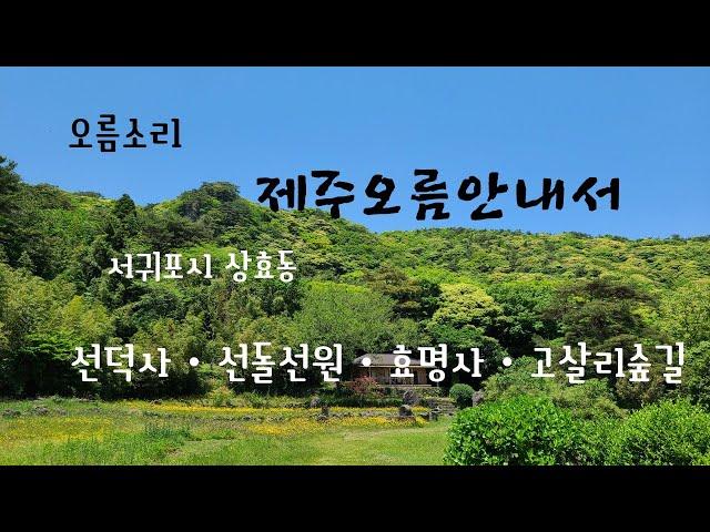 102. (2022.5.22) 서귀포시 상효동에 위치한 선돌선원, 남원읍 하례리에 위치한 고살리숲길 탐방로 및 경관 소개