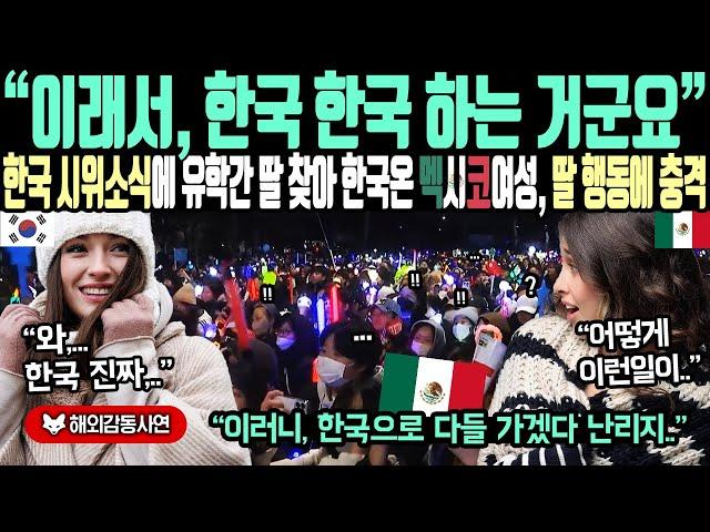 《해외감동사연》"이래서 한국, 한국 하는 거군요?" 한국 시위 소식에 유학 간 딸 찾아 한국 온 멕시코 여성, 딸의 행동에 충격