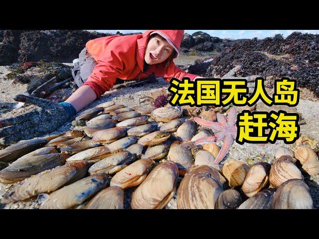 French uninhabited island to catch the sea, abalone and sea cucumber at will, purple sea urchin