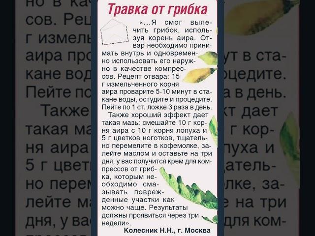 Травка от грибка ...Я смог вылечить грибок. #здоровье #питание #грибы #травка #заздоровье #заботаосе