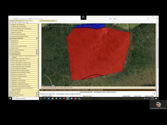 Fifteen Minutes in the Forest: Forest Soils