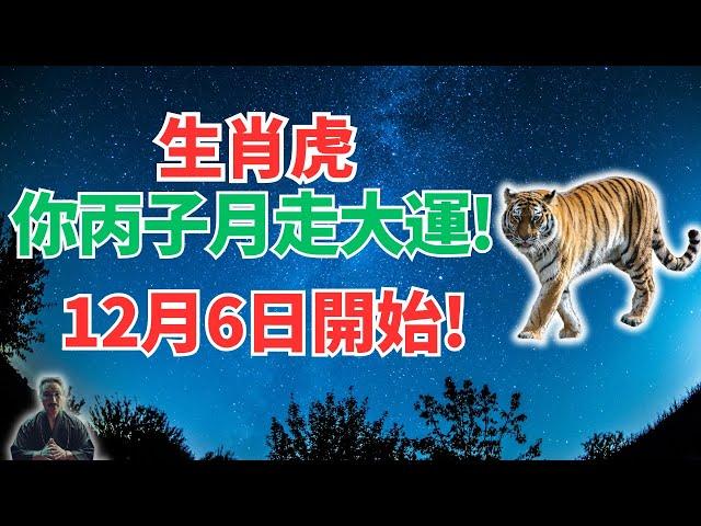 生肖虎注意！丙子月12月6日~1月4日，你有大轉折，霉運散盡，要走大運！別錯過！ #生肖虎2025年運勢 #生肖虎2025年運程 #屬虎人2025年運勢 #屬虎人2025年運程