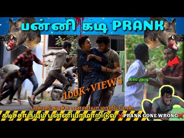 Panni Kadi Fun Video |  Tamil Fun Video | Tamil Medium Pasanga