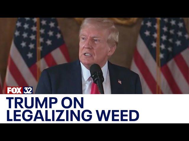 Trump signals support for legalizing marijuana