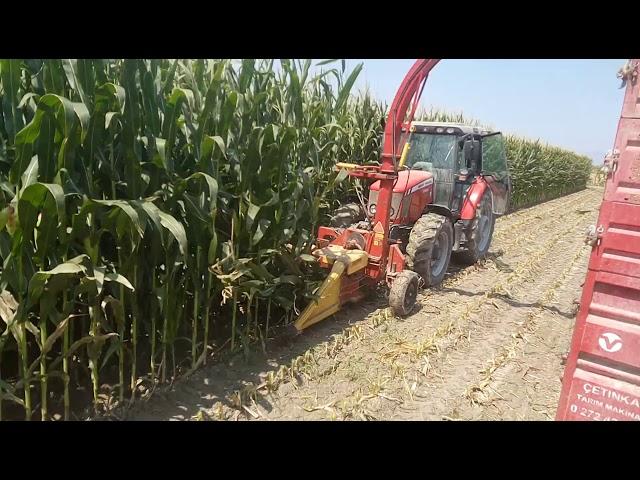 Massey Ön pto slaj biçimi slaj yapımı Massey 5455