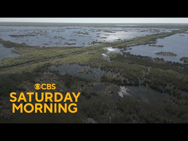 Massive project works to restore Florida's Everglades