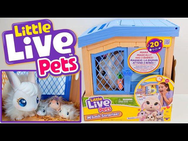 Little Live Pets Mama Surprise Bunny Unboxing - No Talking ASMR