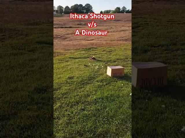 Shotgun v/s A Dinosaur #ithaca #shotgunking #targetpractice #shootingguns #dinodown #ebayinventory