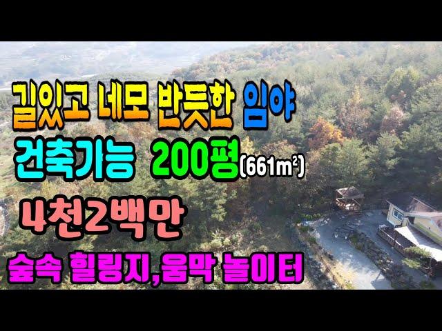 청도토지(346) 길있는 네모 반듯한 임야 선비부동산055-354-8757 건축가능한임야 숲속힐링 산야초재배 버섯재배등 #청도부동산매물#청도토지#청도부동산#청도농막