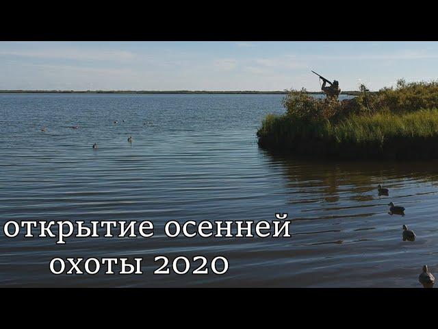 открытие осенней охоты 2020. Охота на утку 2020/ охота с чучелами NORTH WAY!