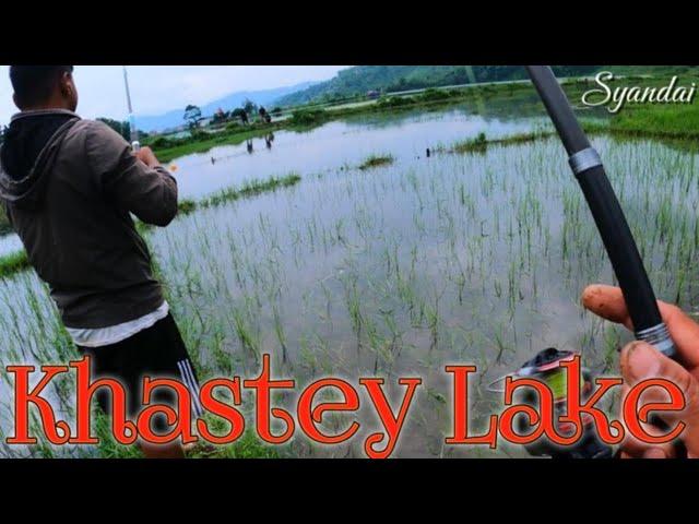 Khastey Lake Amazing Fishing Paddy Field  || Khastey Lake Fishing || Fishing Nepal 