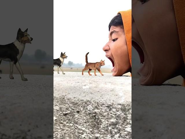 All Domestic Animals in My Mouth  Funny vfx magic video