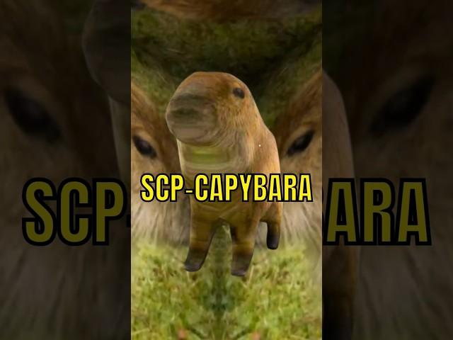 14.0 The Secret Capybara Update!