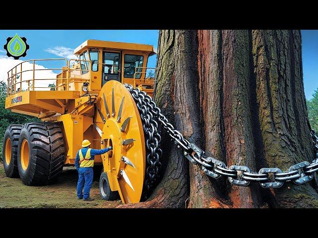 Extreme Dangerous Fastest Big Chainsaw Cutting Tree Machines | Monster Stump Removal Excavator #108