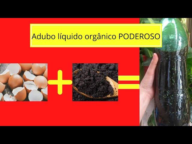 Como fazer adubo líquido com borra de café e casca de ovo