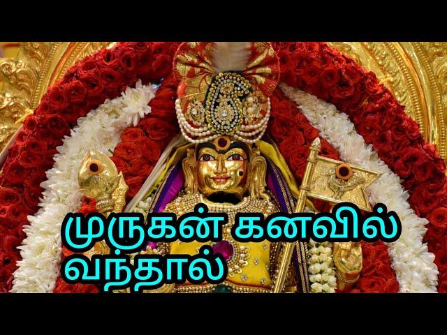 முருகன் கனவில் வந்தால் என்ன பலன் | Murugan kanavil vanthal enna palan in Tamil | kanavupalangal