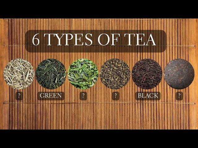 6 Types of Tea - Different Tea Types Explained