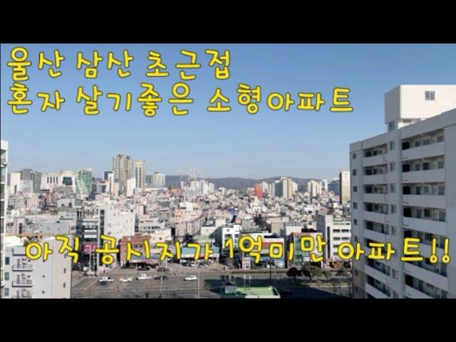 울산남구 혼자 살기좋은 달동주공 아파트 경매