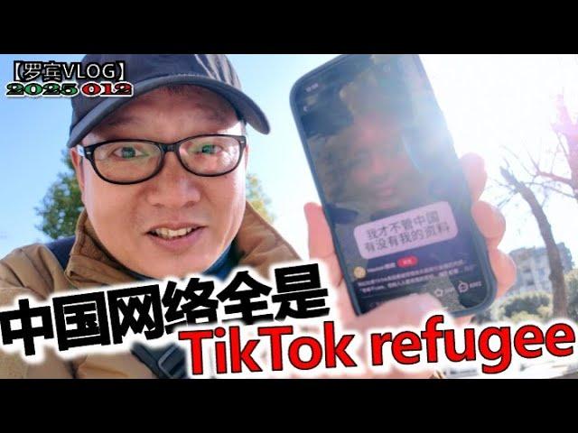 中国网络真的被TikTok refugee攻占了，十年难民谈谈TikTok难民现象【罗宾VLOG】