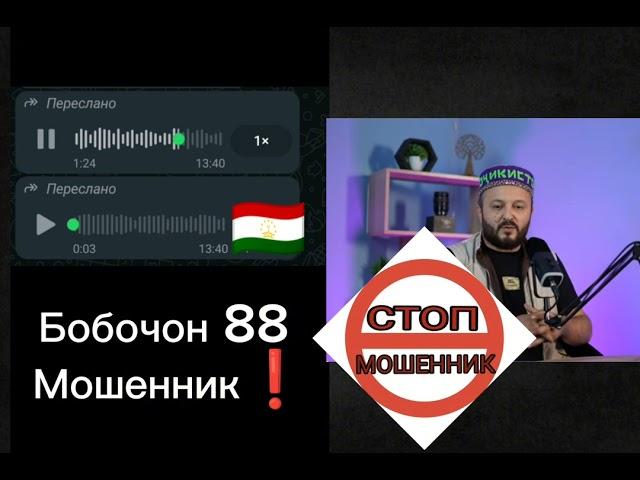 Бобочон 88 - Мошенник