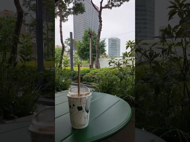 밀크티 타임