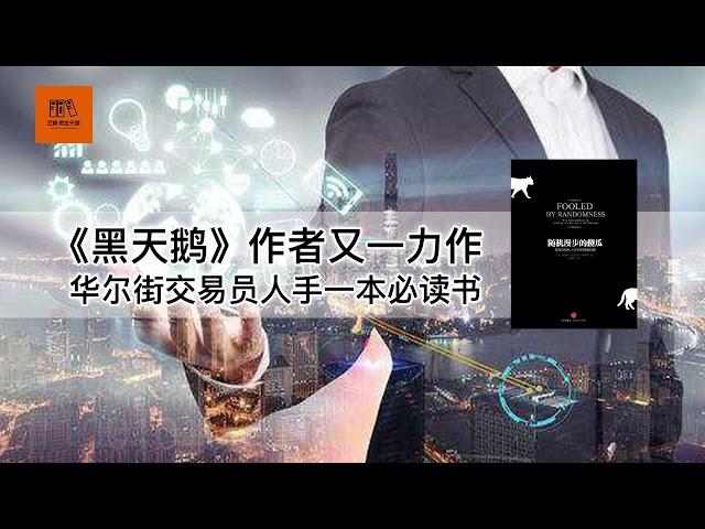 《随机漫步的傻瓜》：《黑天鹅》作者又一力作，华尔街交易员人手一本必读书【youtube字幕】| 好书精读推荐，见识决定格局，读书改变命运