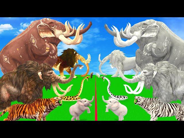 Mammoth Elephant  vs White Mammoth Prehistoric Mammals vs White (Albino) Animals Revolt Battle